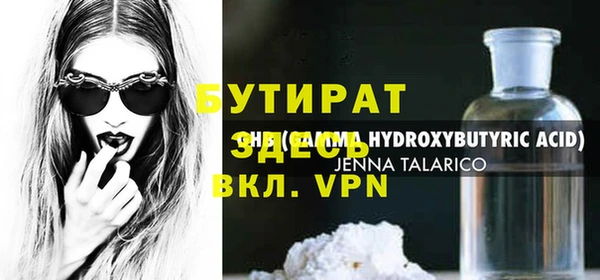индика Каменногорск