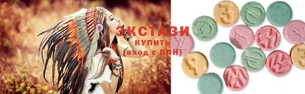 индика Каменногорск