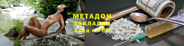 индика Каменногорск