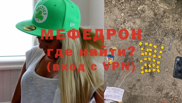 индика Каменногорск