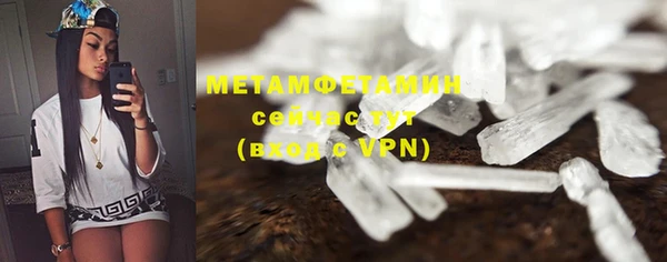 индика Каменногорск