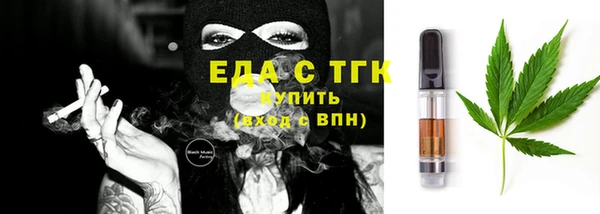 индика Каменногорск