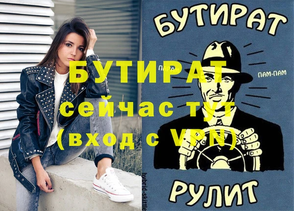 индика Каменногорск