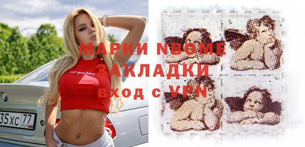 индика Каменногорск