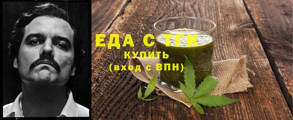 индика Каменногорск