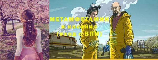 индика Каменногорск