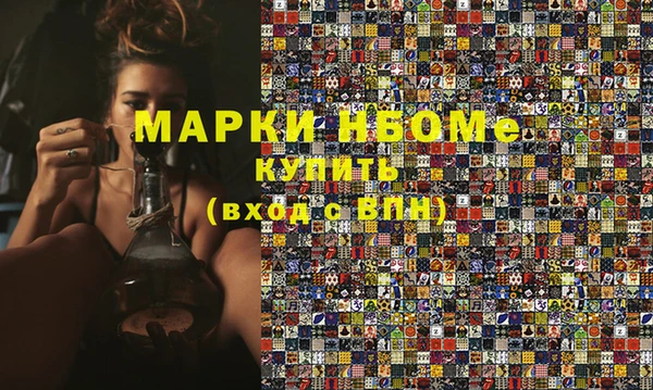индика Каменногорск