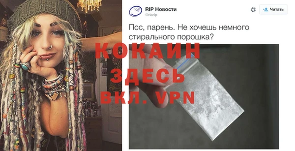 индика Каменногорск