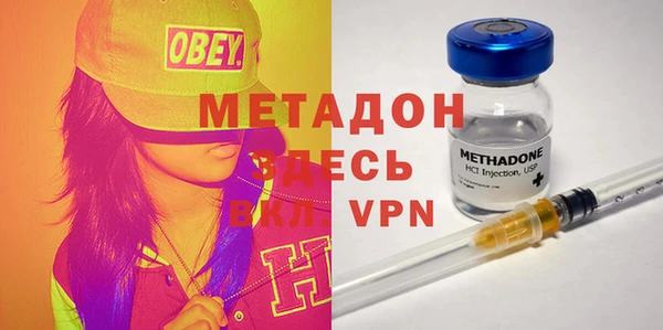 индика Каменногорск